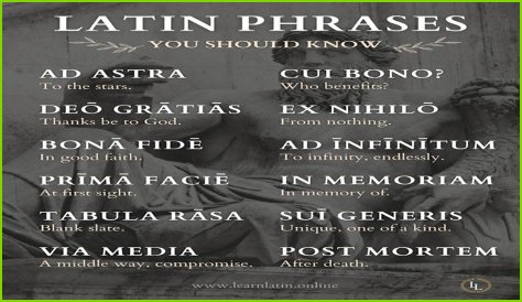 A Profile Of A Latin Beauty