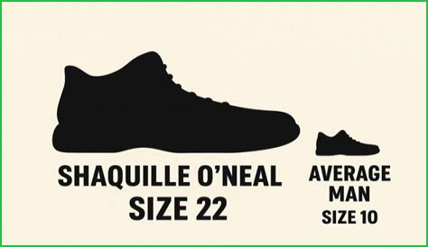 Discover Shaq's Gigantic Shoe Size