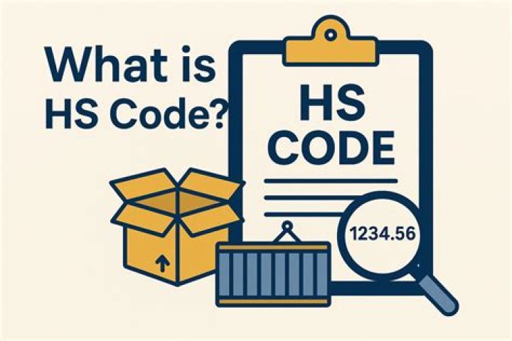 What is HS code India?
