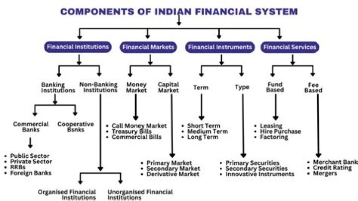 What is Indian financial system?