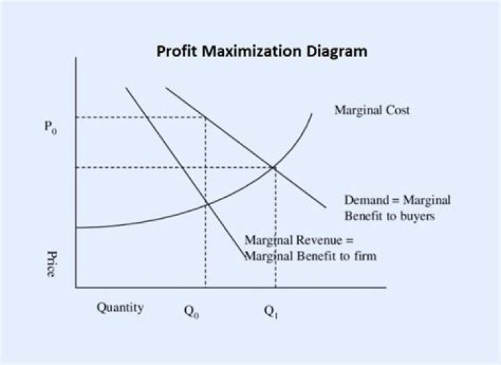 What is maximizing firm value?