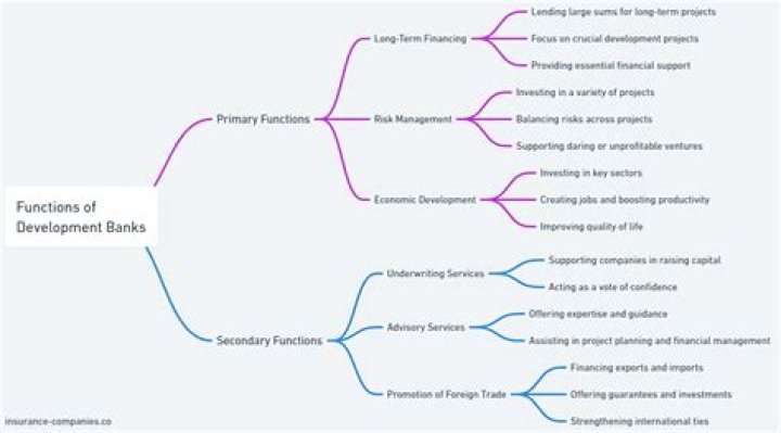 What is the function of development banks?