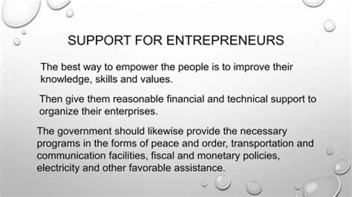 Why does the government support entrepreneurs?